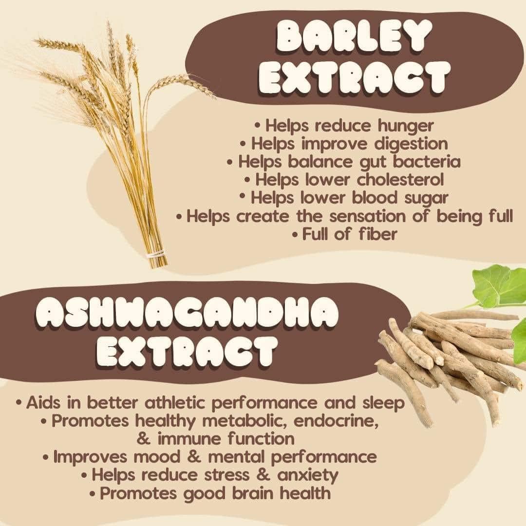 Dear Face Beauty Bean Mallows