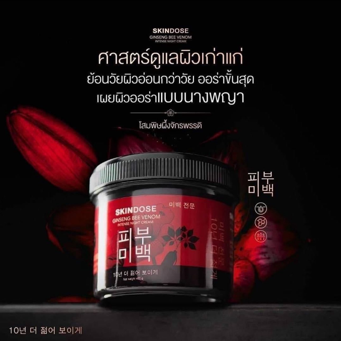 SKINDOSE Ginseng Bee Venom Intense Night Cream 400g